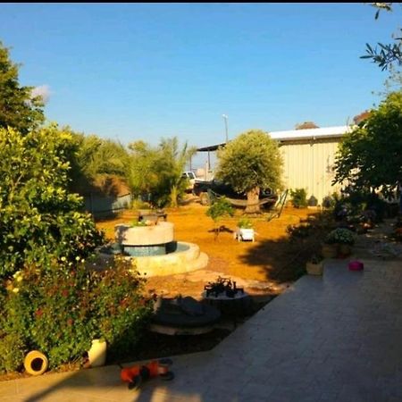 בחצר של טובה Lägenhet Hazon Exteriör bild