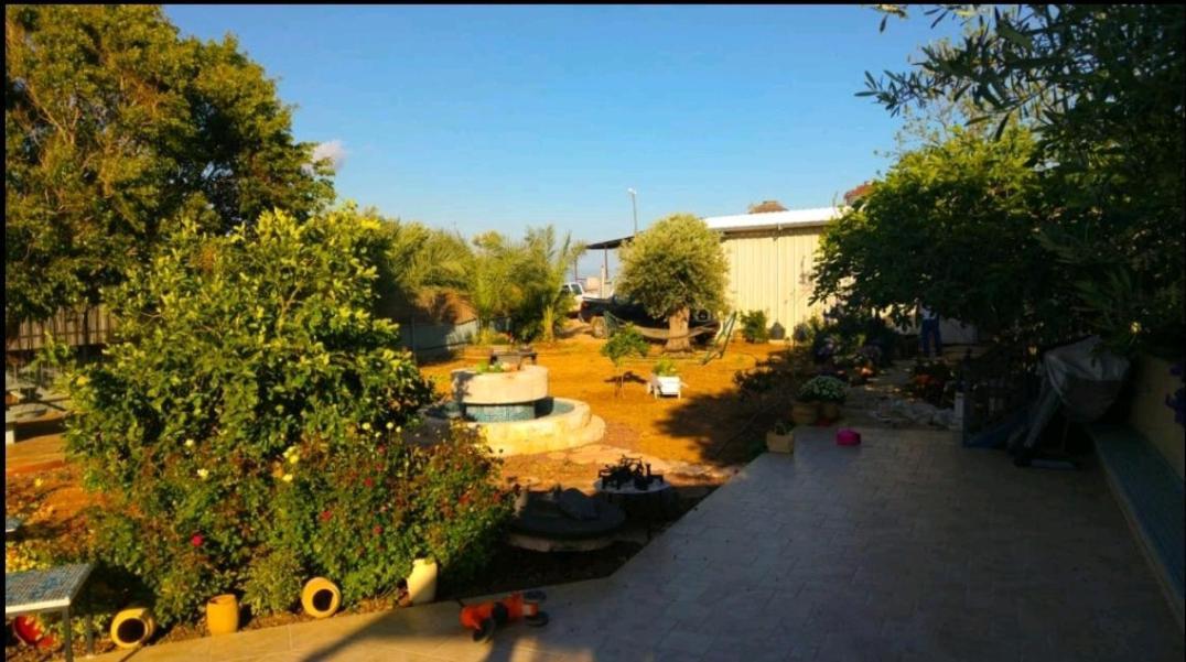 בחצר של טובה Lägenhet Hazon Exteriör bild